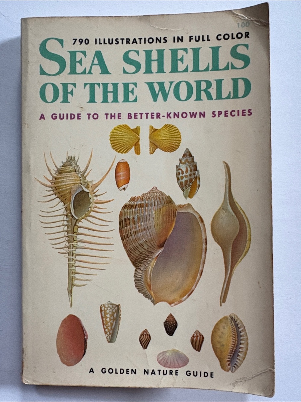 Sea Shells of the World Guide Book Paper back book.